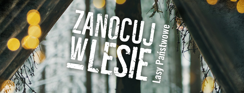 Program "Zanocuj w lesie"