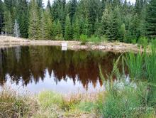 Projekt adaptacji do zmian klimatu na terenach górskich - kontynuacja